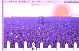 88影视