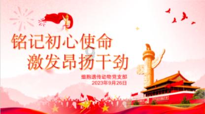 虫虫助手下载